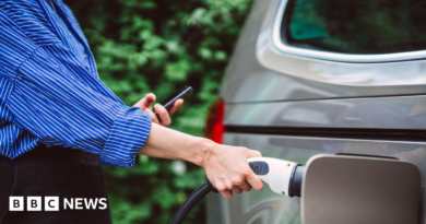 Electric Car Grant : £1.3bn boost for EV scheme expected in Budget – BBC