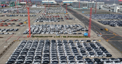 China's car exports surged in 2025, but domestic demand slowed – ABC News