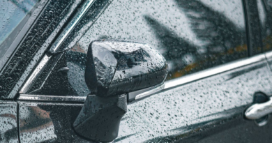 Europe’s Best-Selling New Car Revealed for 2025 – Novinite.com – Sofia News Agency